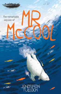 Mr McCool